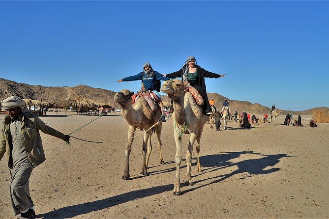 Giftun Island VIP Sea Trip Lunch on Bord and Transfer - Hurghada - 8:00 AM Pickup to Return: How the Day Runs