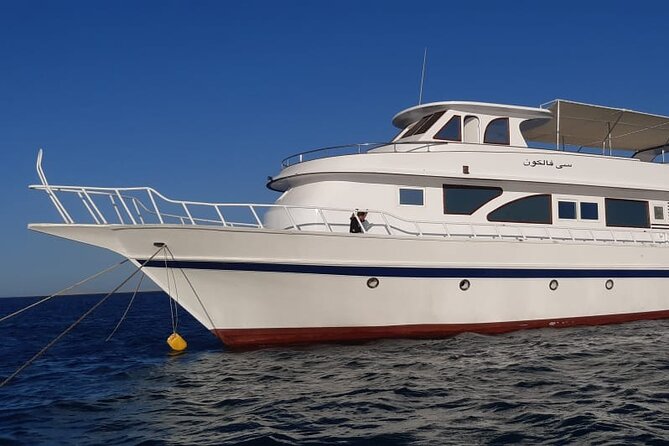Giftun Islands Snorkeling Trip with Lunch and Water Activities - Water Activities: Banana Boat and Couch-Style Fun
