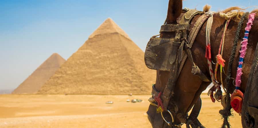 Giza: Arabian Horse Tour Around the Giza Pyramids - Camel Ride Add-On: Fun, Quirky, and Time-Smart