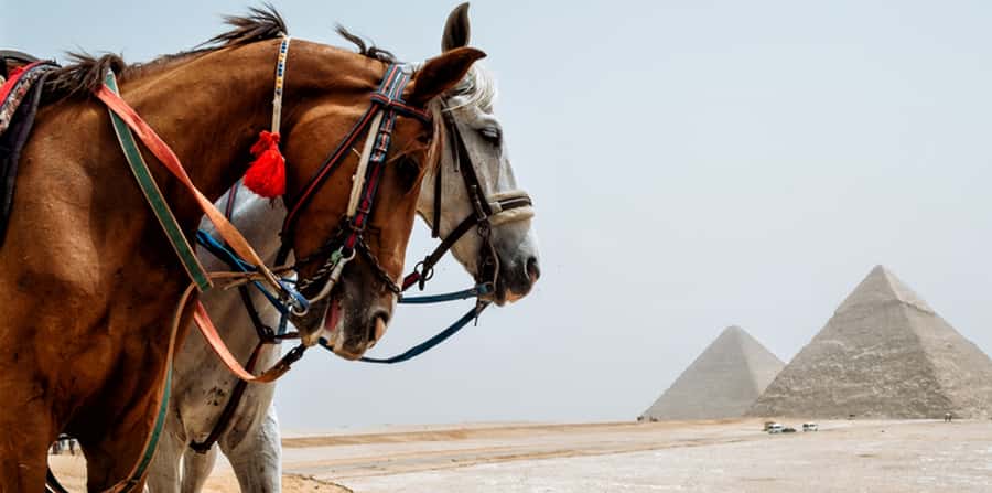 Giza: Arabian Horse Tour Around the Giza Pyramids - What You Get for $20: Value, Realistic Limits, and Where You Spend More