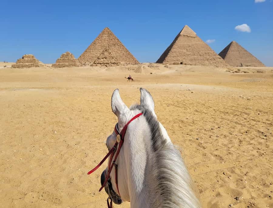 Giza: Half-Day Giza Pyramids and Sphinx Private Tour - Key highlights you’ll feel immediately