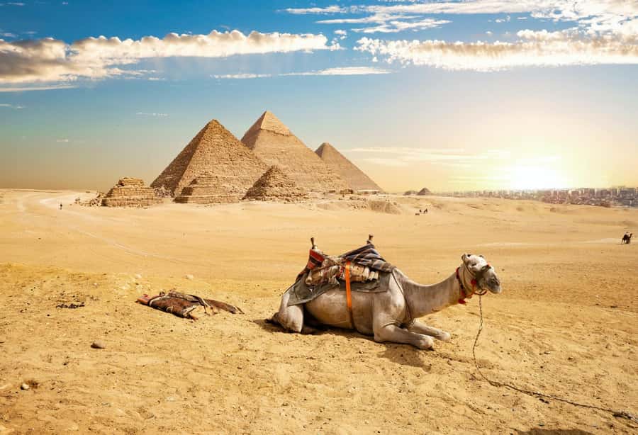 Giza Pyramids and Grand Egyptian Museum - Stop 1: Giza Pyramids with Guided Focus (About 2 Hours)