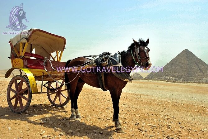 Giza Pyramids, Saqqara, Memphis and Dahshur Private quality trip - 30 minutes on camel or horse, then smart photo stops