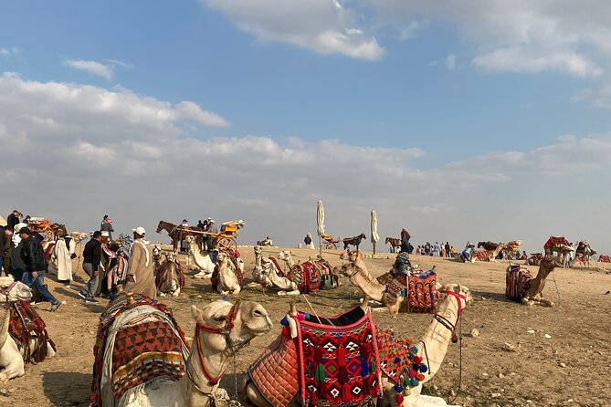 Giza pyramids & sphinx and Egyptian museum All inclusive - 8:00 am pickup and the ride to Giza plateau