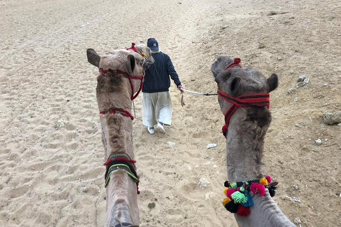 Giza Pyramids Sphinx Camel Ride Lunch with Camera Photographer - Who Should Book This Giza Pyramids + Sphinx Private Tour?
