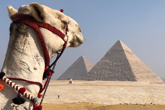 Giza Pyramids, Sphinx & Egyptian Museum treasures with private qualified guide - The Great Sphinx: a focused visit that connects to burial beliefs