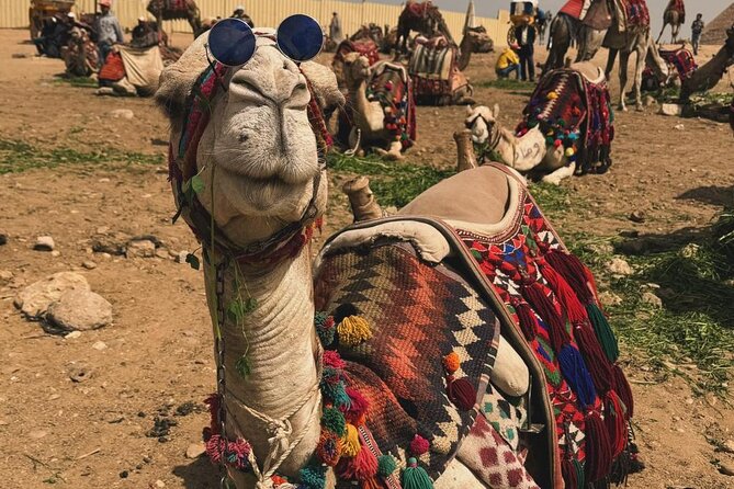 Giza Pyramids & Sphinx with Wi Fi & special Gift - How This 3–4 Hour Giza Route Fits Real Life