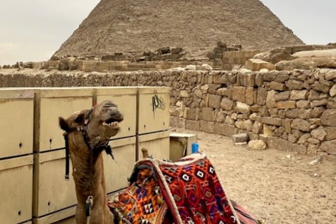 Giza Pyramids, The Egyptian Museum And Cairo Citadel-Mohamed Ali Mosque- Private - Lunch and the Egyptian Museum: linking outside views to inside meaning