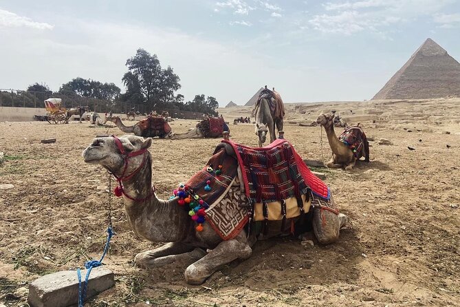 Giza Pyramids,Sphinx,Camel Ride,ATV Bike,Shopping, Dinner cruiseI - The plateau alignment stop: your best photo advantage