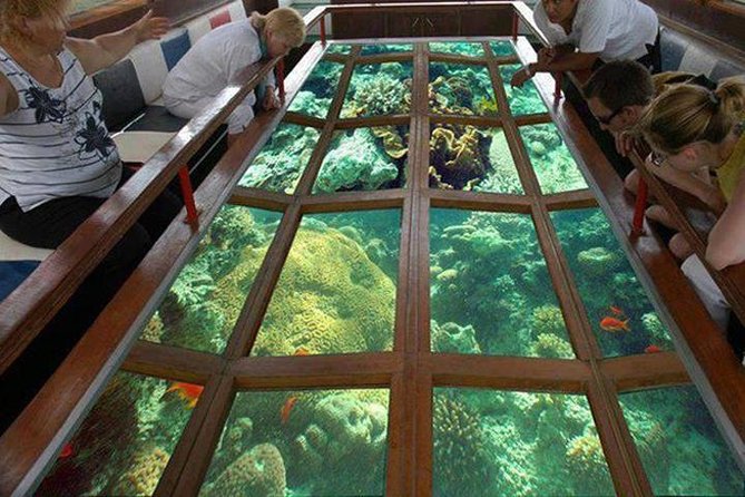 Glass Bottom Boat Excursion in Sharm El Sheikh - Key Things to Know Before You Go