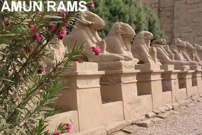 Guided Half-Day Tour of Nile East Bank from Luxor by Air-Conditioned Vehicle - Lunch and Water: The Included Break That Keeps You Happy