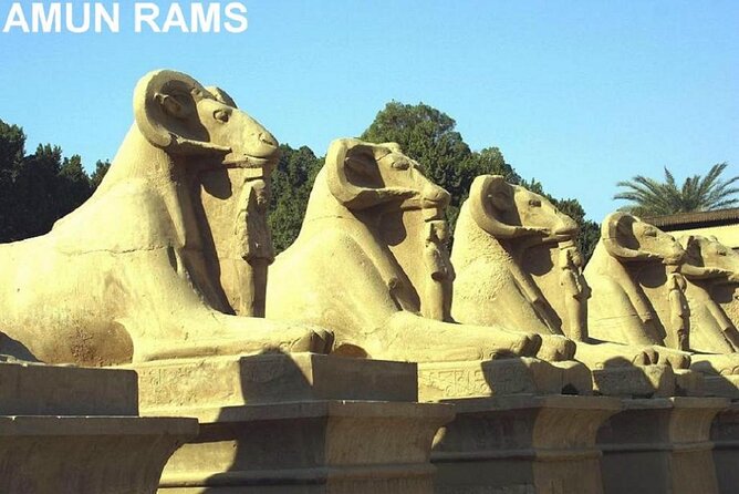Guided Half-Day Tour of Nile East Bank from Luxor by Air-Conditioned Vehicle - Should You Book It?