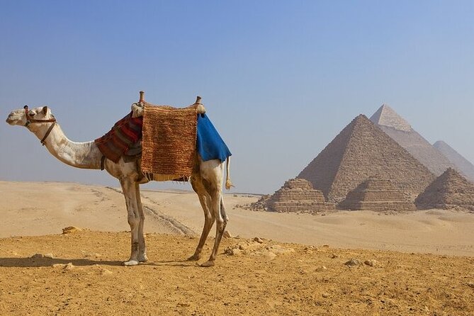 Half day at the pyramids and the Sphinx - Key highlights to know before you go