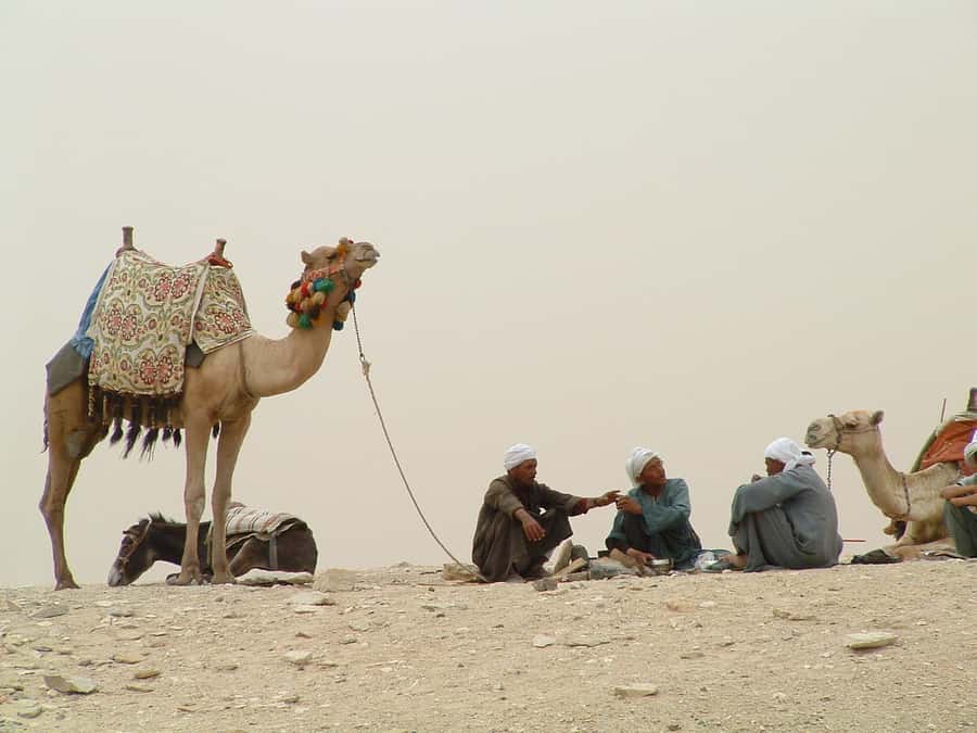 Half-Day Cairo Sightseeing Tour to Pyramids of Giza & Sphinx - Key highlights I’d prioritize
