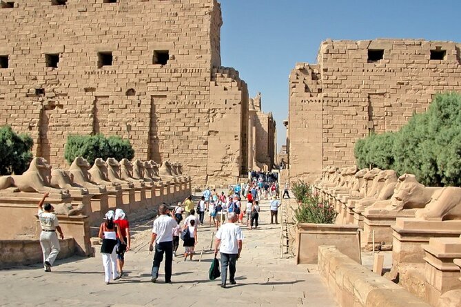 Half Day East Bank Tour to Luxor and Karnak Temples (Private) - Tickets, Guide, and Lunch: What’s Included (and What That Saves You)