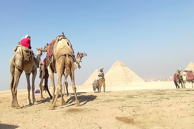 Half day Giza pyramids and Sphinx tour with an Egyptologist - What $84 buys you—and where it can feel like a bargain