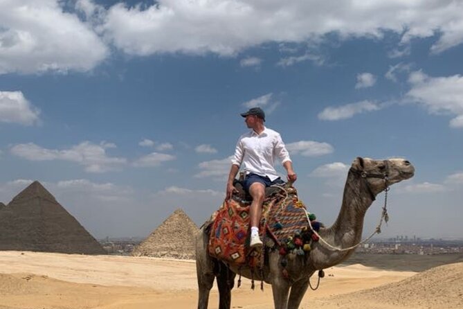 Half Day private guided tour Giza Pyramids,Sphinx,lunch,camel rid - The Great Sphinx: scale you can measure, not just stare at