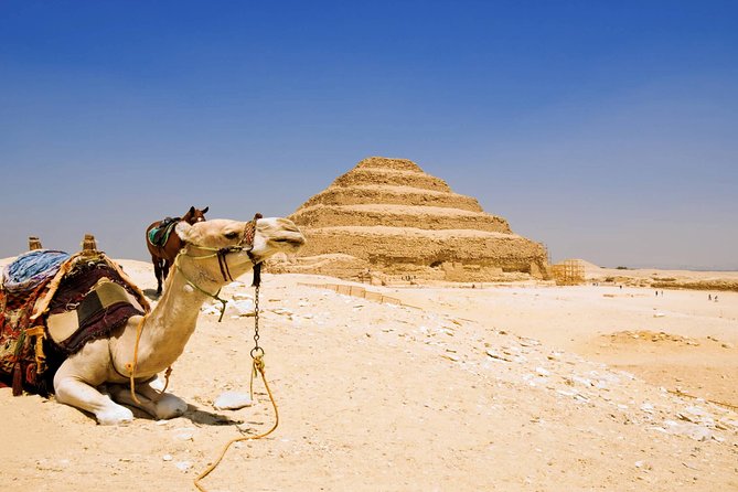 Half-Day Private Guided Tour to Saqqara and Memphis from Cairo - Price and Value for a Private 4-Hour Egyptologist Trip