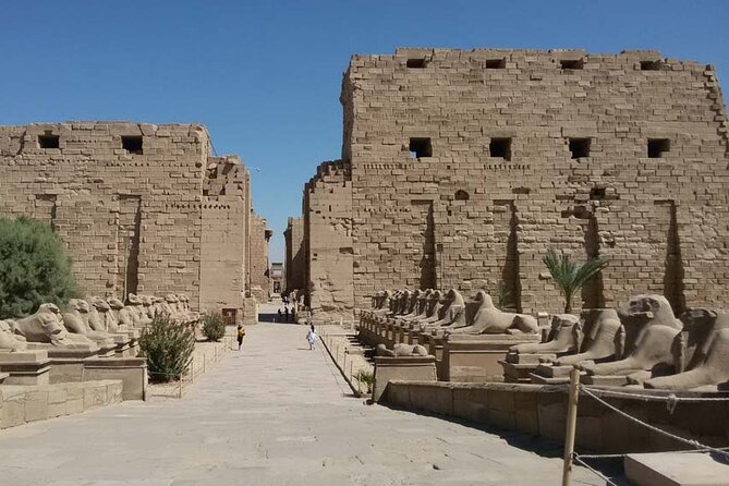 Half-Day Private Tour to Karnak & Luxor Temples From Luxor - Karnak Temple: Sphinx Avenue, hypostyle hall, and the temple’s power