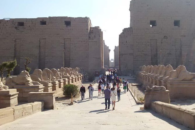Half-Day Private Tour to Karnak & Luxor Temples From Luxor - Pickup and private vehicle: the underrated part of a good Luxor day