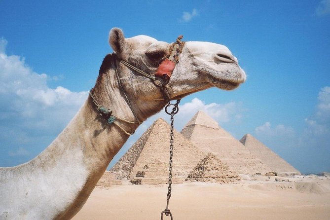 Half-Day Private tour to Pyramids of Giza and Sphinx - The Great Sphinx: Folklore, Close-Up Time, and What to Look At