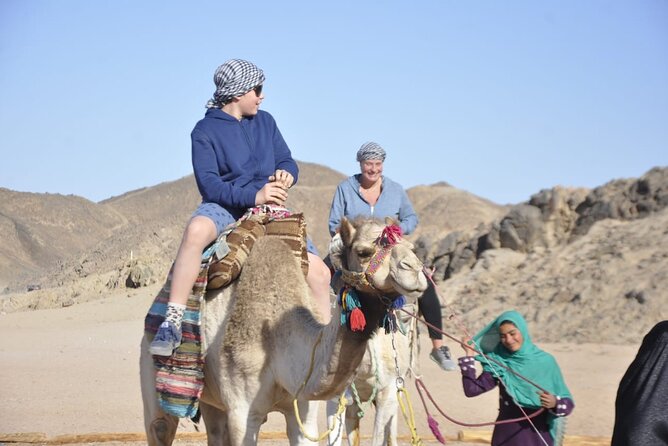 Half Day Quad Bike Adventure and Camel Ride in Beduion Camp - Price and Value: What You Pay, What You Add