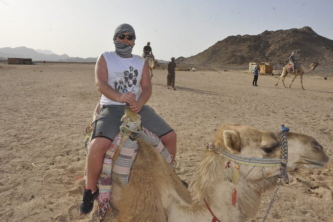 Half Day Quad Bike Adventure and Camel Ride in Beduion Camp - Who This Quad and Camel Tour Is Best For