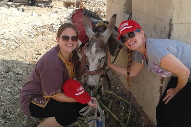 Half-Day Saqqara Pyramids and Memphis Tour from Cairo - Guides: where the real value shows up (Marwa, Ahmed, and more)