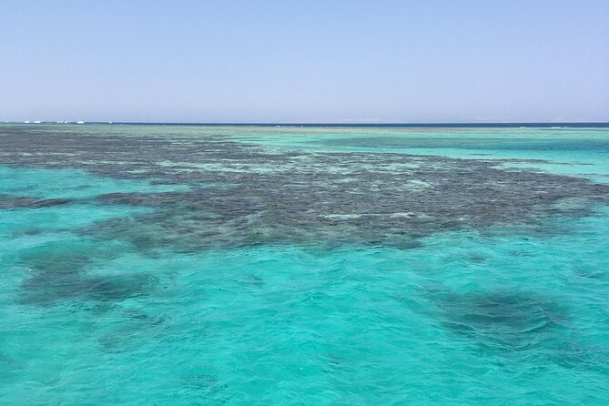 Half day snorkeling trip in Ras Mohammed Sharm El Sheikh - Mangrove trees, Mangarof Rocks, and Wizard Lake stops