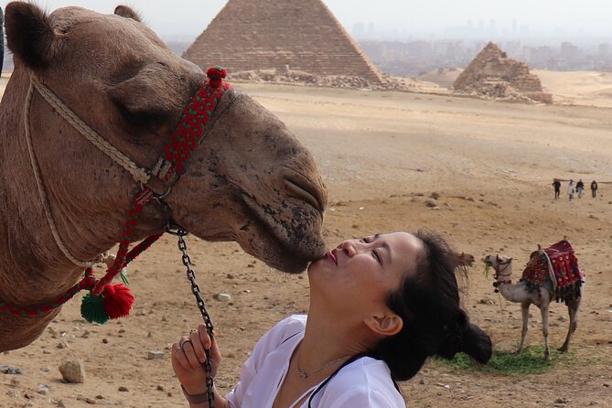 Half Day Tour Giza pyramids , panorama , sphinx - Papyrus factory and flower-to-oil stops: learning by watching