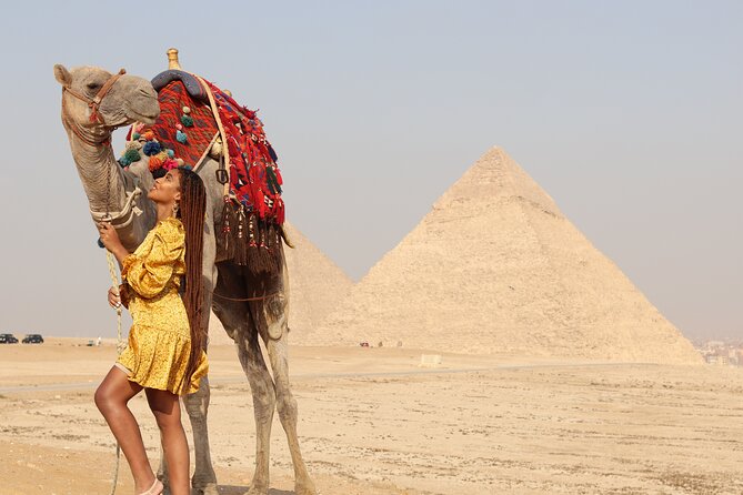 Half day tour in Giza pyramids , sphinx , panorama - Koshary Break: A Simple Local Pause