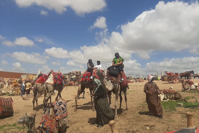 Half-Day tour Pyramids of Giza ,Sphinx ,Lunch & Camel Ride - Price and What’s Included: Where the Value Really Comes From