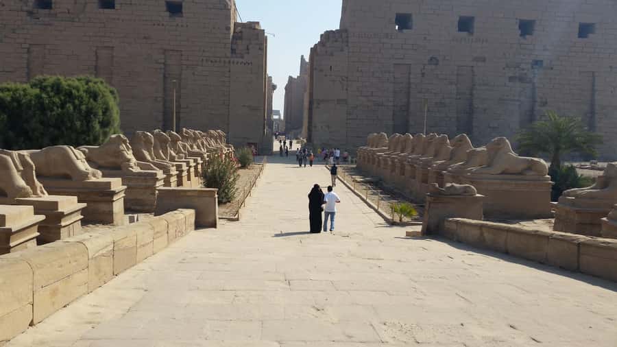 Half day tour to east bank visit Luxor and Karnak Temples - Luxor Temple: A Strong First Impression in a Short Visit