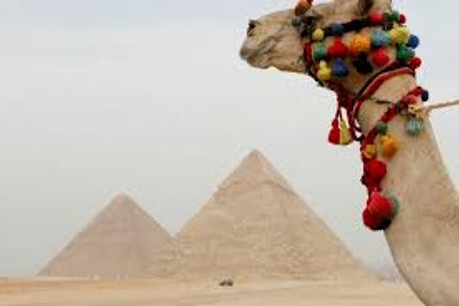 Half Day Tour To Giza Pyramids And Sphinx - Value at $30: what you’re actually paying for