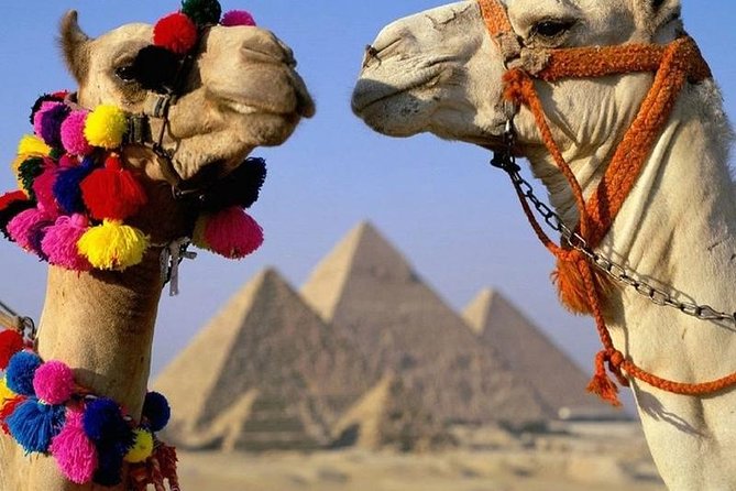 Half -Day Tour to Giza Pyramids & Sphinx - The Pyramids Circuit: Cheops, Chephren, Mykerinus Up Close