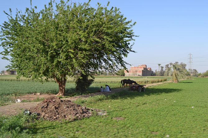 Half-Day Trip to Egyptian Green Farm from Cairo with Breakfast - Transportation and timing: the “short escape” formula