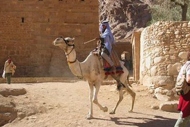 holy mount sinai climb & St Catherine monastery - Price and Value: What $30 Covers (and the $10 National Park Fee)