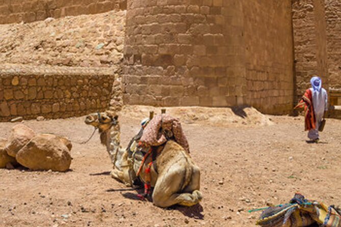 holy mount sinai climb & St Catherine monastery - Group Size, Pace, and Who Will Enjoy It Most