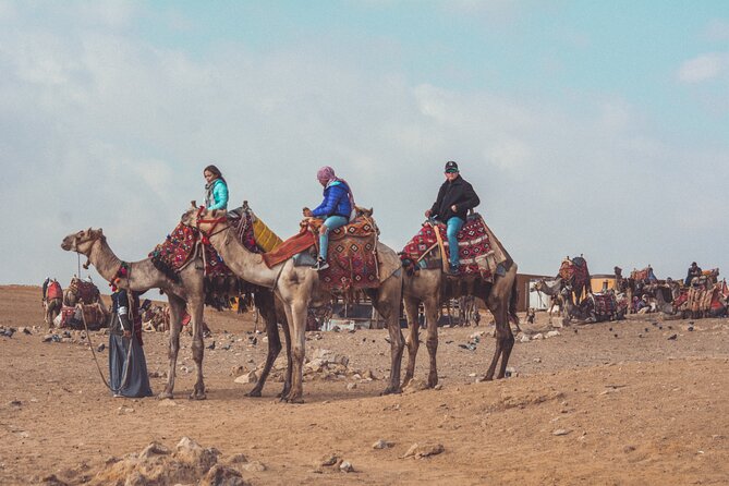 Horse or Camel Ride in Giza Pyramids - Your first instructions: the real value for beginners