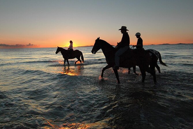 Horse Ride Trip , Bedouin Dinner And Show - Sharm El Sheikh - Key highlights you’ll actually care about