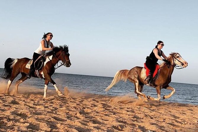Horse Ride Trip , Bedouin Dinner And Show - Sharm El Sheikh - The 3-hour game plan: a sunset-style schedule