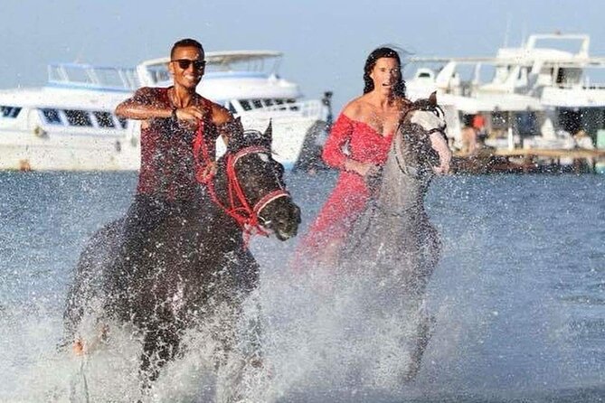 Horse Ride Trip , Bedouin Dinner And Show - Sharm El Sheikh - Price and value in Sharm: cheap enough to try, honest enough to plan
