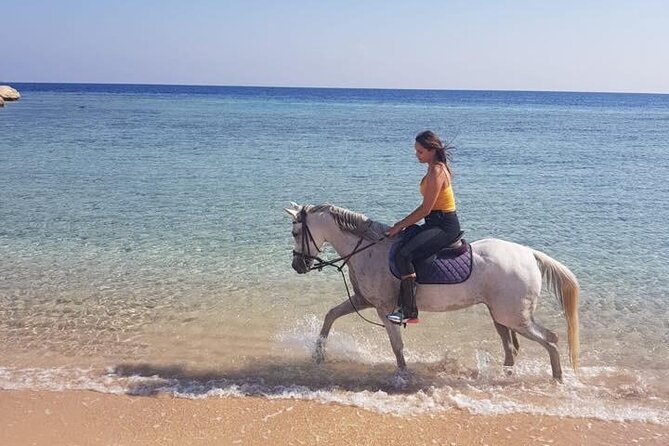 Horse Ride Trip , Bedouin Dinner And Show - Sharm El Sheikh - Getting on a horse safely, without turning it into a rodeo