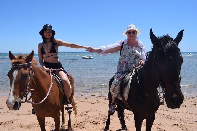 Horse Riding 3 Hours Beach, Desert, & Swimming By Horse in red sea - Hurghada - Getting From Your Hurghada Hotel to the Stables (Without Chaos)