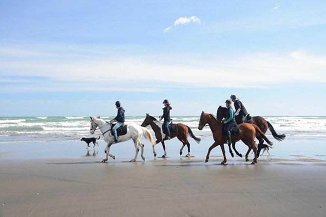 Horse Riding Adventure 2 hours sea and Desert - Hurghada - Price and Value: Why $26 Can Make Sense Here
