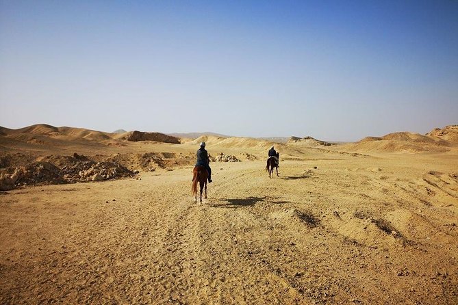 Horse Riding Adventure 2 hours sea and Desert - Hurghada - The Sea Portion: Short Time, Big Photo Energy