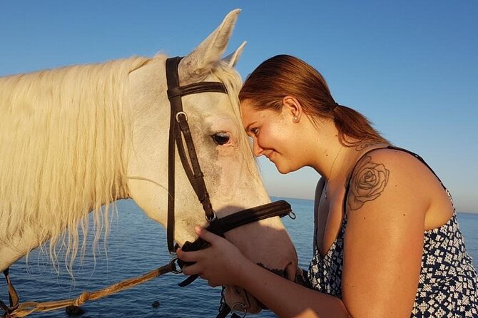 Horse Riding Adventure 2 hours sea and Desert - Hurghada - Desert Riding: Where the Adventure Actually Takes Hold
