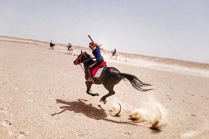 Horse Riding Adventure 2 hours sea and Desert - Hurghada - Horses and Care: What You Should Confirm Day Of