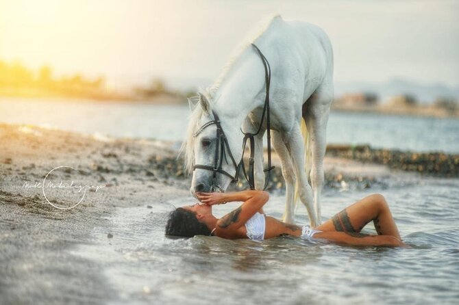 Horse Riding Adventure 2 hours sea and Desert - Hurghada - Guides, Language, and Group Experience (What to Expect)