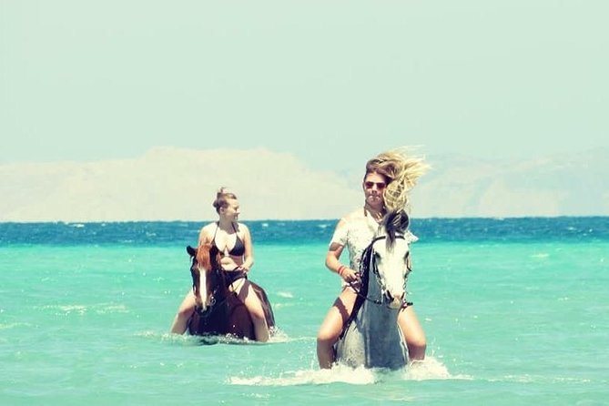 Horse Riding Adventure 2 hours sea and Desert - Hurghada - Refreshments and What’s Included (and What Might Not Be)